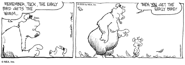 grizzwells